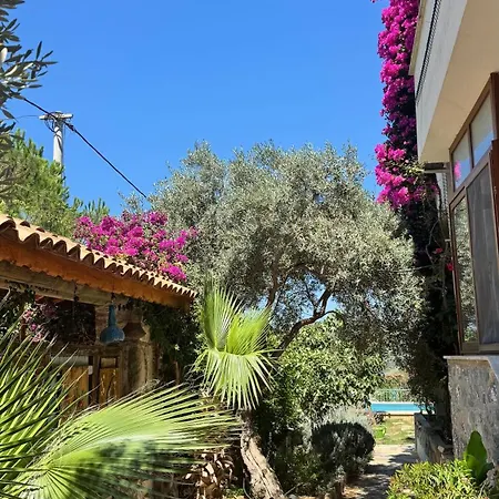 Rodd's House Iasos Daire