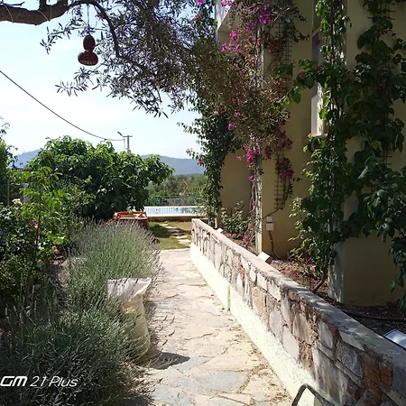 Rodd's House Iasos Daire Milas