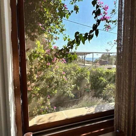 Daire Rodd's House Iasos
